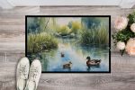 Ducks by the Pond Doormat Front Door Mat Indoor Outdoor Rugs for Entryway, Non Slip Washable Low Pile, 24H X 36W
