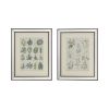 S/2 15.7x19.7" Liana Mirror Framed Wall Art on Mellow Golden Tint Background