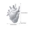 Vase In The Shape Of Human Heart, Home Decoration, Desktop Art Craft Ornament, Exquisite And High-end Indoor Vase, Organ Design Flower Container