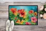 Hawaii Hawaiian Hibiscus in Watercolor Doormat Front Door Mat Indoor Outdoor Rugs for Entryway, Non Slip Washable Low Pile, 24H X 36W